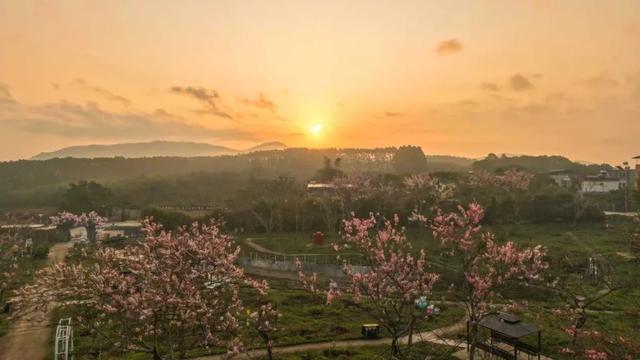 趣春游,赴一场蓝洋踏青的邀约