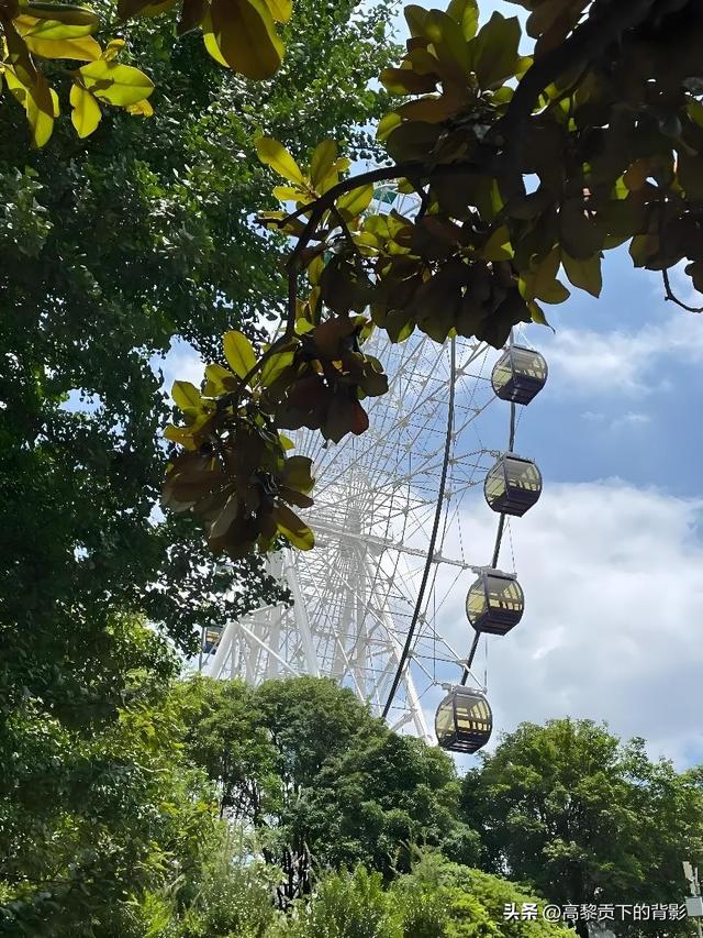 金秋漫步河滨：一座公园里的城市呼吸