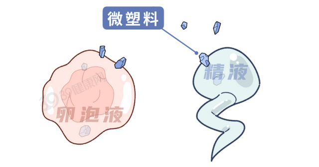 长期烧自来水喝的人和买桶装水的人，谁更健康？答案和你想的不同