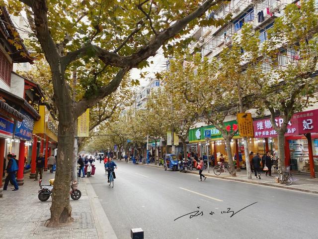上海这座古镇“太尴尬”：位置优越却发展平平，藏在市区少有人知