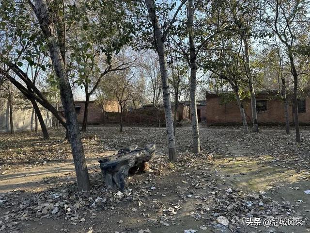 冠县乡韵·贾镇荆楼村