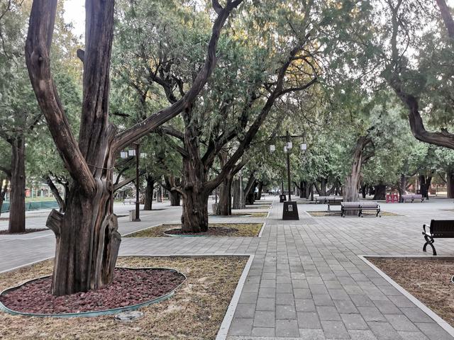 哥俩同行——北京