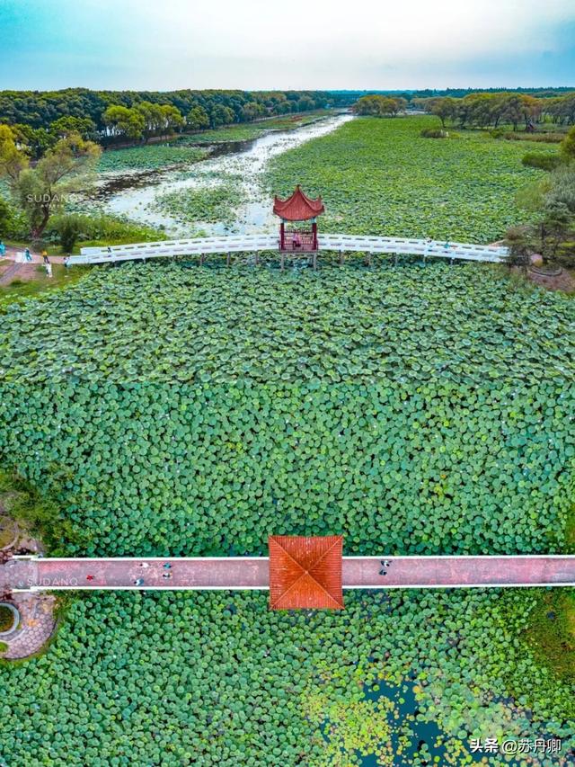 这座没有高铁的小城市，拥有湖北省最大湖泊：武汉周边的度假胜地