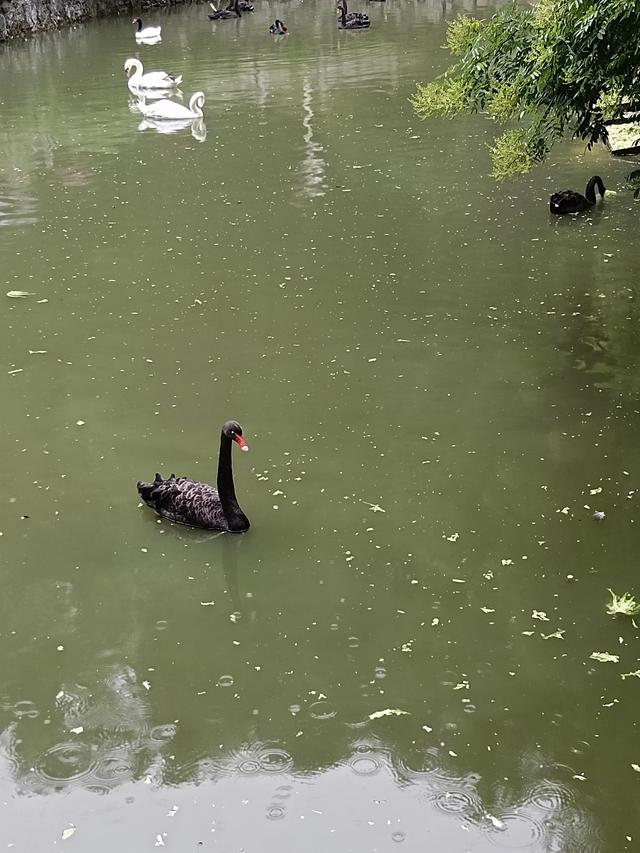 贵州旅游印象(二)