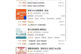 绵阳宠物绝育手术集体涨价？“铲屎官”喊贵，宠物医院“哭穷”图片