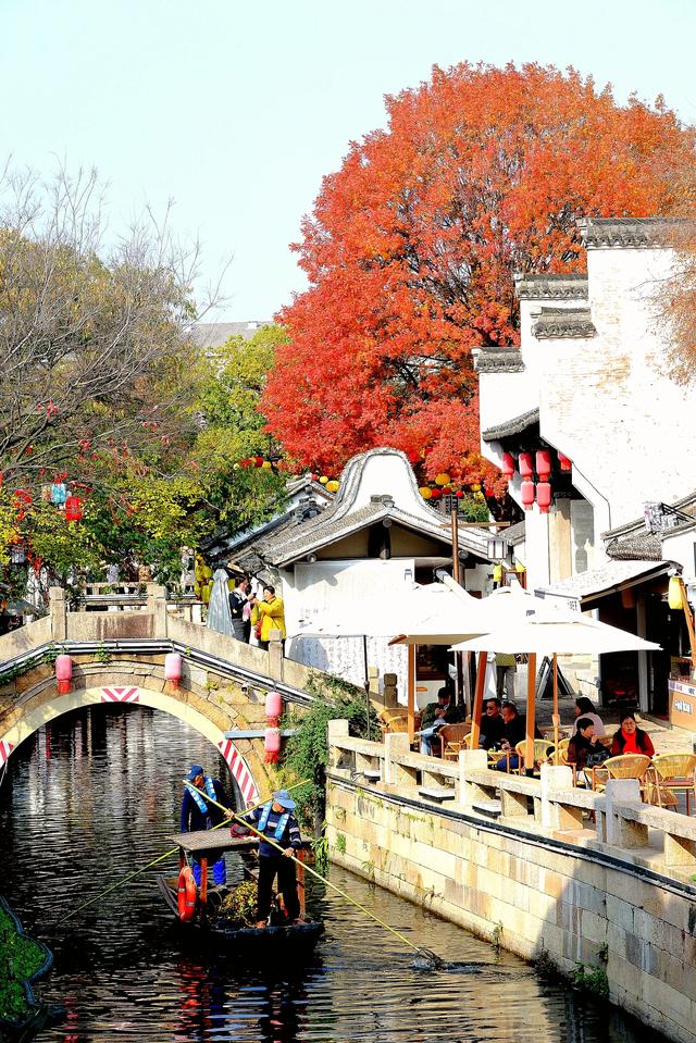 流金暖红裹着的古镇秋时