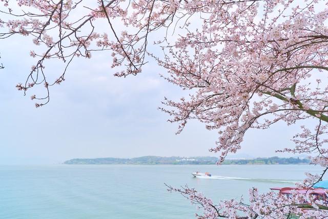 清明最适合去的20个地方大合集，从江南烟雨到塞外杏花，一次看够