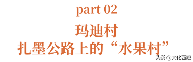 美到心颤！墨脱这几个沿江村落，串联起西藏绝景！