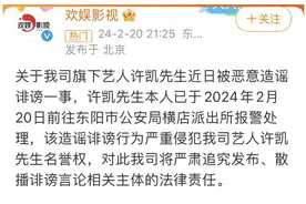 欢娱影视深夜发声：许凯被恶意造谣诽谤，已经报警图片