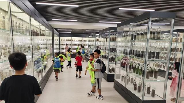 佛山春假官方研学线路全攻略，总有一款值得你们亲子漫游→