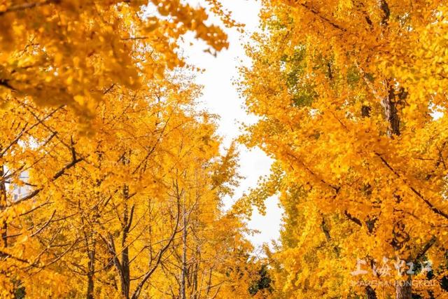 早安！这份含“金”量，别错过→