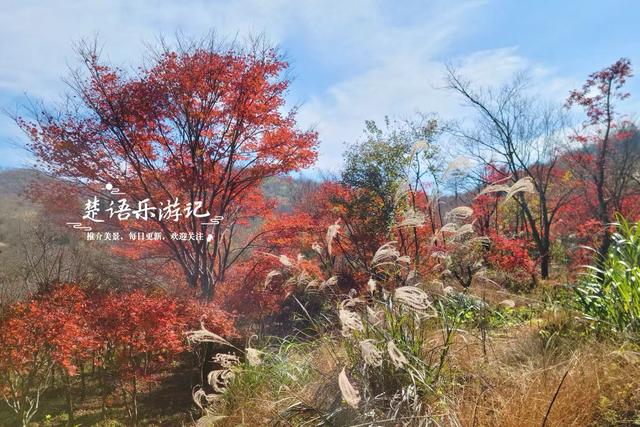 宁波四明山中鲜有人知的乡村，却被誉为中国红枫之乡，景色太迷人