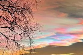 “七彩祥云”“灵蛇升空”首次亮相！广州烟花盛宴重磅预告图片