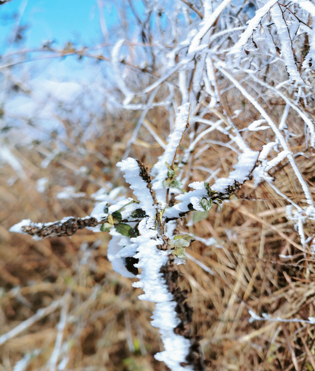 美如仙境！韶关这个地方迎来今年首场冰挂雾凇景观，秋冬来旅行，赏雪泡泉看红枫为你安排好了