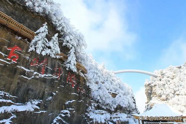 雪落神农架：解锁华中秘境的冬日仙境