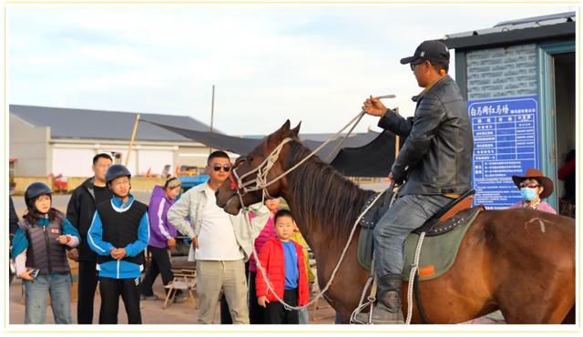 走进你 我的额尔古纳丨当陶瓷师遇到骏马