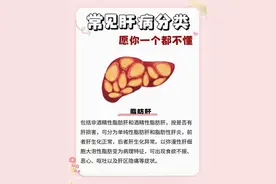 带你认识脂肪肝，构筑肝脏健康新防线图片