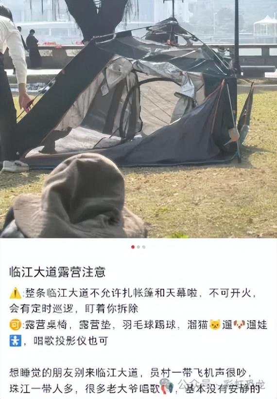 官方出手！临江公园禁止搭帐篷、明火烧烤，遛娃党狂喜（附攻略）