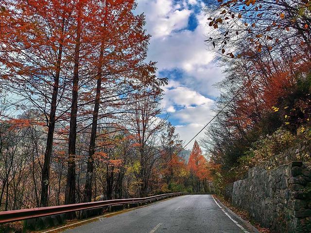 2024深秋四川行19 神农架风景区2 华中屋脊的五彩秘境