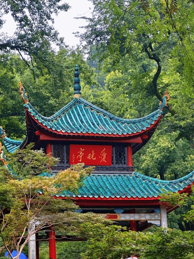 去了趟湖南长沙，真心建议：别随便去长沙，除非你摸清这些门道