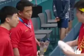 王楚钦打球把龙指导忙够呛图片