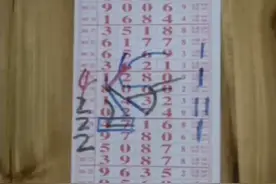 丁力☞2月7日 排列五坐标规律走势图图片