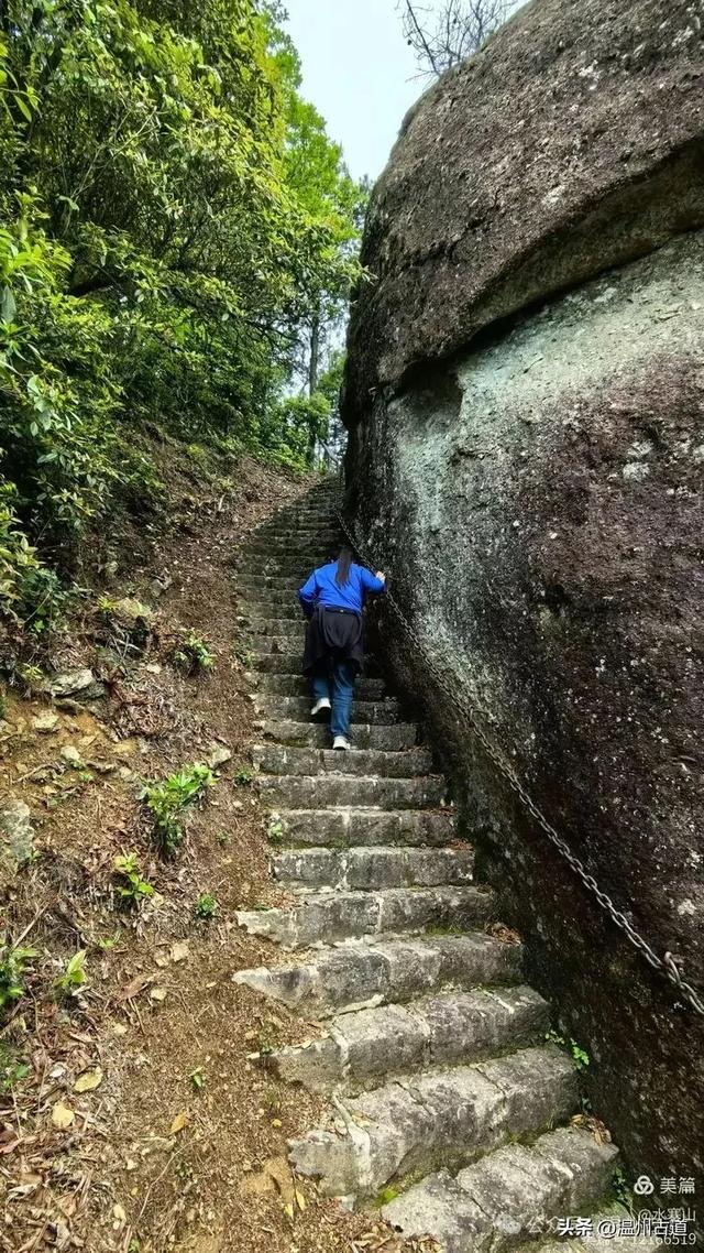 温州酷暑哪里有清凉,当然永嘉四海山!