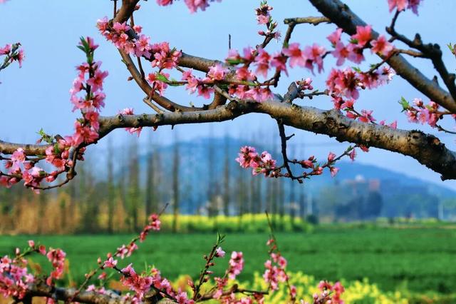 已就位！江阴又一网红打卡点！