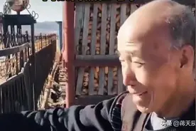 笑哭！东北虎进村咬人，看热闹大爷事后表情亮了，网友笑哭！图片