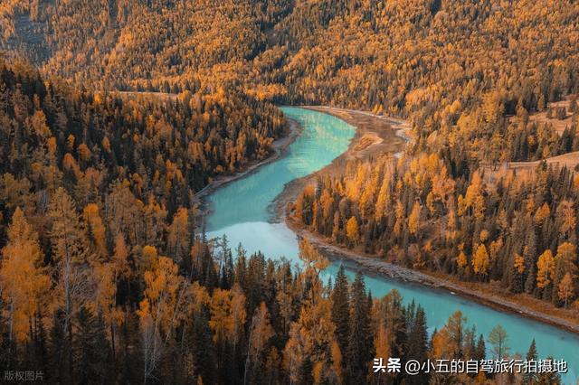 9 地秋日赏秋实测攻略！附最佳时间 + 落地玩法，收藏直接走