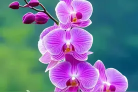 异性之间，女人这样的“允许”，就是在暗示你主动图片