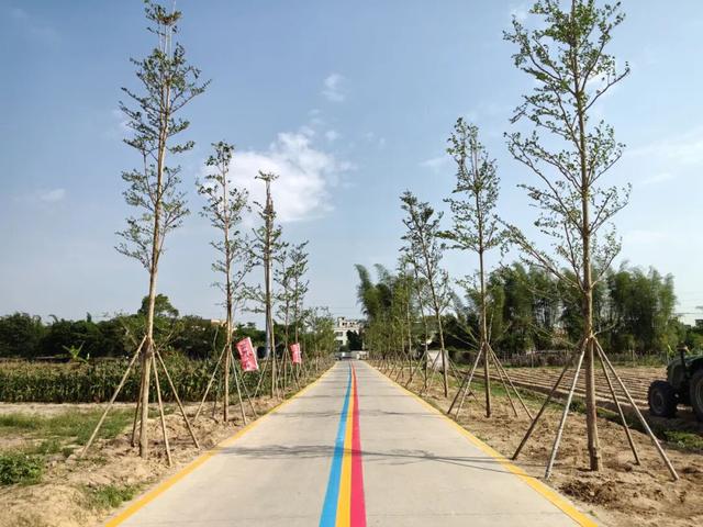 【百千万工程“濠”实践】十里海岸铺锦绣，千般赋能兴乡村！濠江沿龙虎滩风貌带绘就滨海文旅新画卷