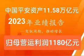中国平安也“缺钱”？负债总额10.35万亿元，赚得净利润857亿元图片