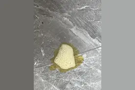 狗狗胰腺炎可以看看，尽力帮忙吧图片