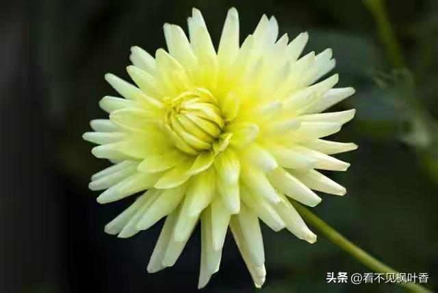 80岁还能做到这些事，那是几辈子修来的福气！