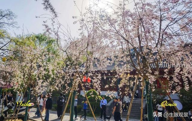 影记 | 春色春景之青州范公亭(上)