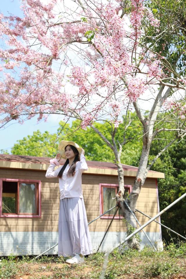 趣春游,赴一场蓝洋踏青的邀约