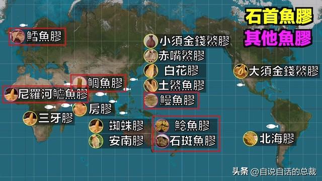 花胶十萬元一斤系什麼胶 2026年一百多一斤的花胶