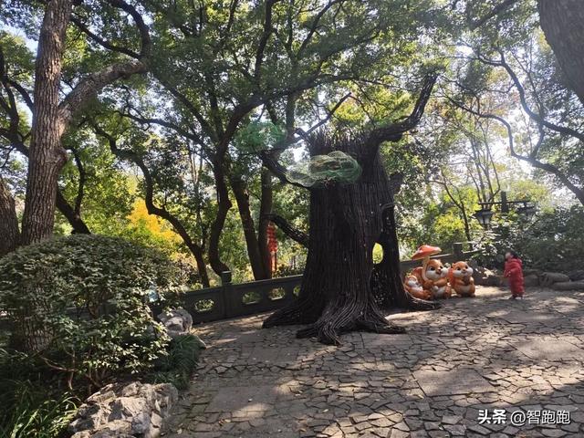 2025 杭州西湖 City Walk 留下足迹