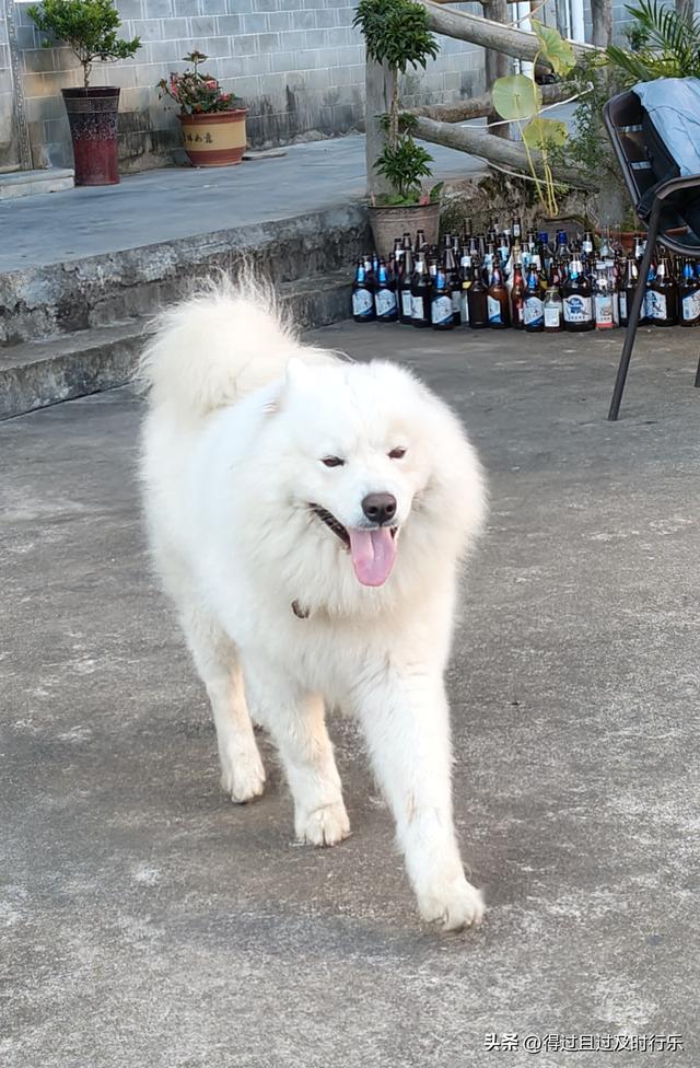 婺源游记-01慢品人间烟火