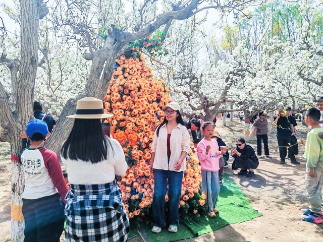 花满城人潮涌！库尔勒梨花季正式启幕啦！