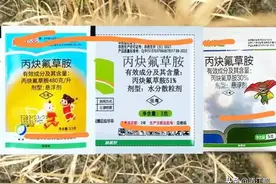 草甘膦加上它专治秋冬季恶性杂草，除草快封得久效果倍靓图片