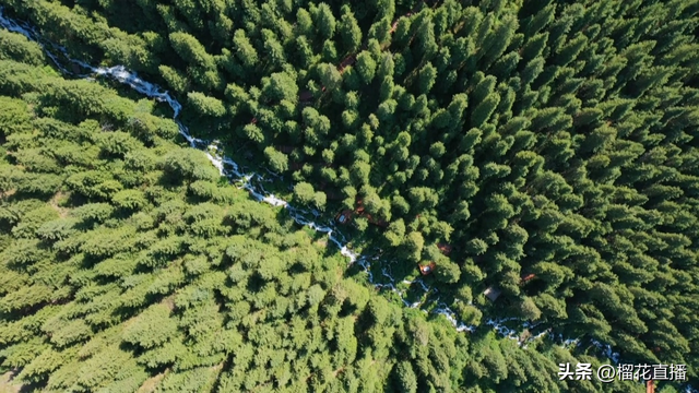 天山天池绘就生态旅游新画卷