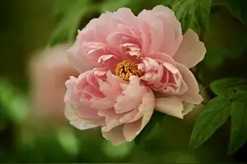 大气三观正的网名，积极阳光的微信名字，抖音昵称，你心动了吗？图片