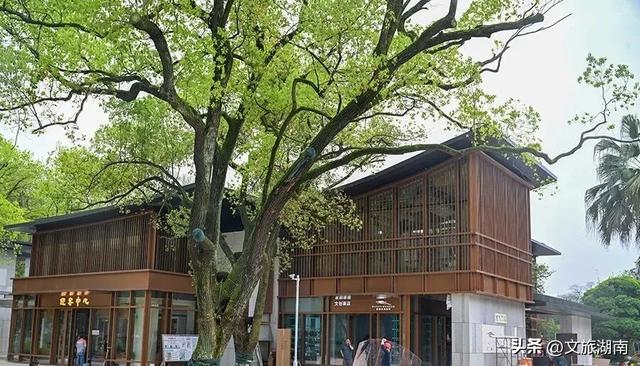 省博物馆与烈士公园“馆园融合”在即