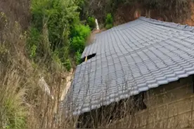 3人猪粪池中毒溺亡，9人被处理图片