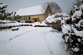 又过年了，又想起我那红颜薄命的表妹霞图片