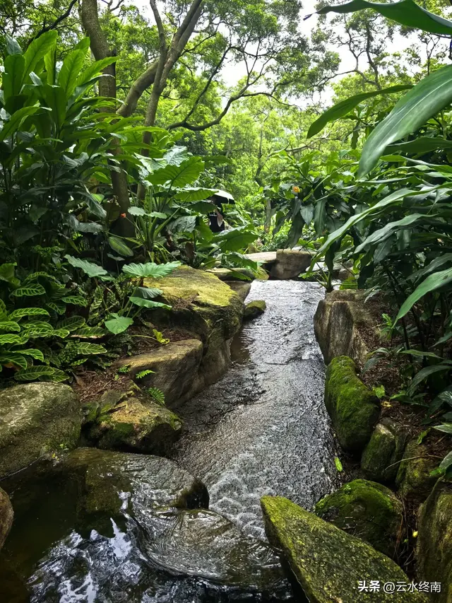 一个五A级植物园，到底藏着哪些值得看的地方，这是最实在的攻略