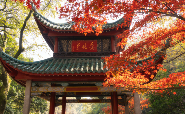 🔥清明全国游天花板！18 座热门城市一站式攻略