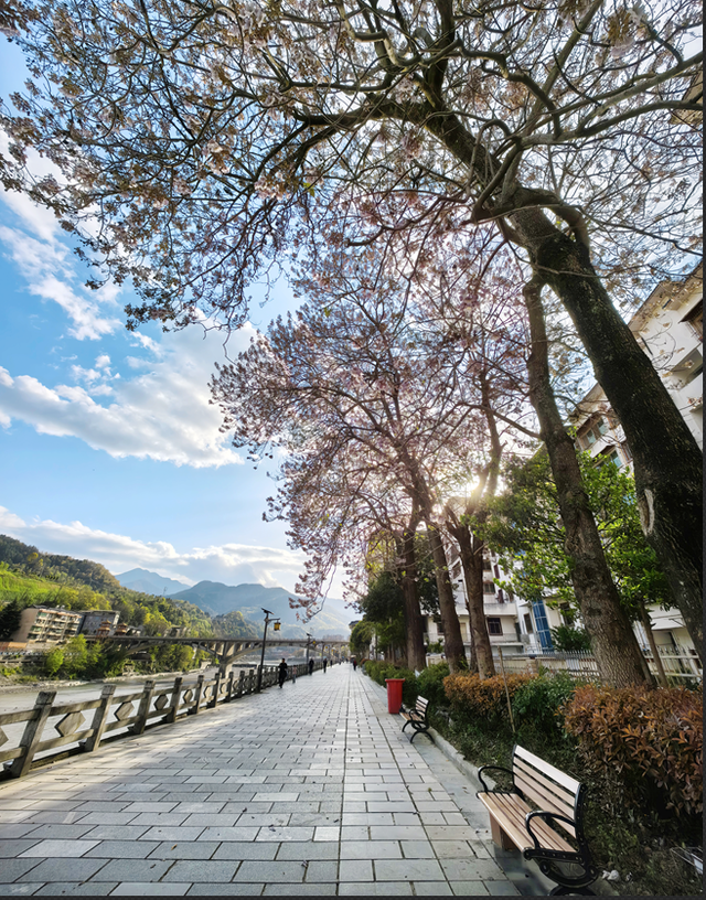 青睐绵阳 || 这个春天，来平武赴一场Color Walk